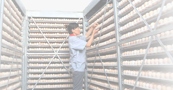 bob综合体育平台官网：新闻简讯【游戏】手机游戏｜网络｜单机装备_天极网频道