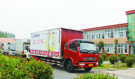 bob综合体育平台官网：修建界的战役“鸡”具有吉尼斯世界纪录的鸡形修建 